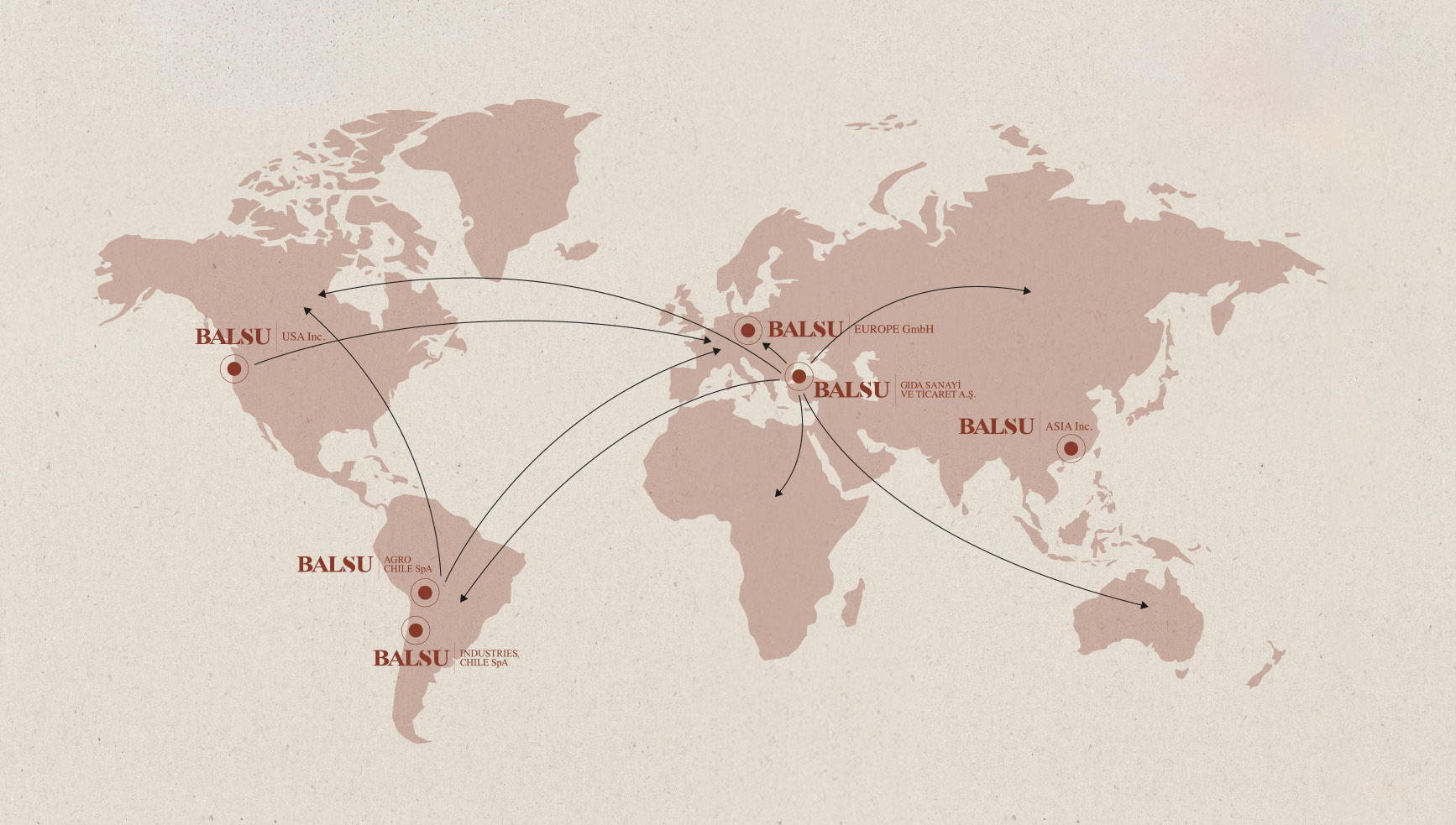 World map showing Balsu group locations — Balsu Gıda in Türkiye, Balsu Europe GmbH, Balsu USA Inc., Balsu Asia Inc., and Balsu Agro Chile SpA and Balsu Industries Chile SpA in Chile — with trade routes between them
